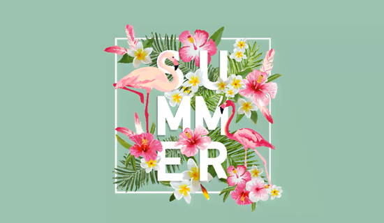 تصویر تست فشرده سازی فایل PNG تصویر تست فشرده سازی فایل PNG